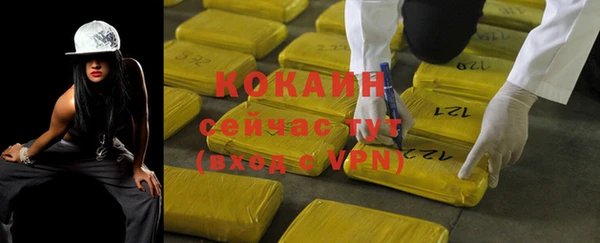 прущий лед Богданович