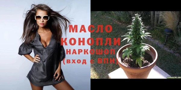 прущий лед Богданович