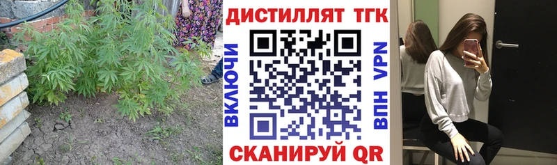 ТГК Wax  Краснокаменск 