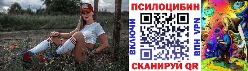 Псилоцибиновые грибы Cubensis  Краснокаменск 