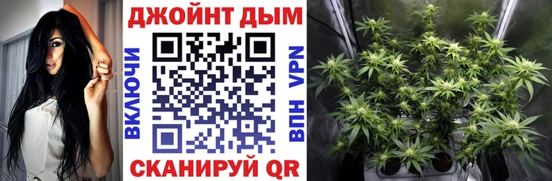 Шишки марихуана сатива  кракен tor  Краснокаменск  сколько стоит 
